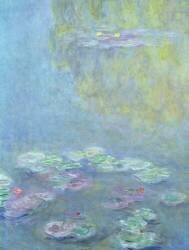 Nénuphars (Claude Monet) - Muzeo.com