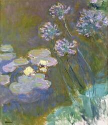 Nénuphars et Agapanthes (Claude Monet) - Muzeo.com