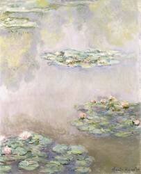 Nymphéas (Claude Monet) - Muzeo.com