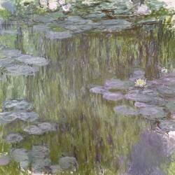 Nymphéas à Giverny (Claude Monet) - Muzeo.com