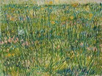 Patch d'herbe (Vincent van Gogh) - Muzeo.com