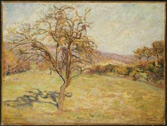 Paysage (Armand Guillaumin) - Muzeo.com