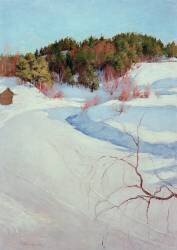 Paysage d'hiver, 1896 (Pekka Halonen) - Muzeo.com