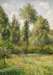 Peupliers (Camille Pissarro) - Muzeo.com