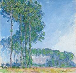 Peupliers (Claude Monet) - Muzeo.com