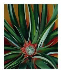 Pineapple Bud, 1939 (Georgia O'Keeffe) - Muzeo.com