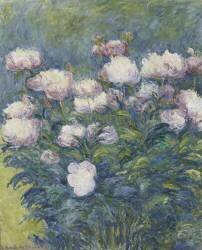 Pivoines (Blanche Hoschedé) - Muzeo.com