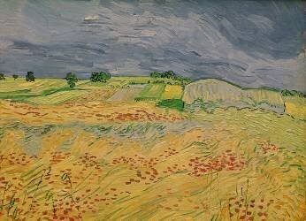 Plaine à Auvers (Vincent van Gogh) - Muzeo.com