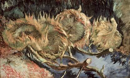 Quatre tournesols fanés (Vincent van Gogh) - Muzeo.com