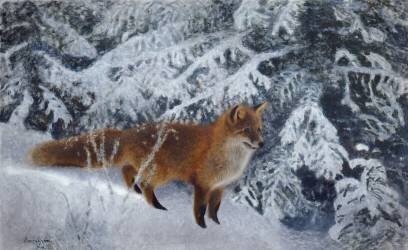 Renard en hiver (Bruno Liljefors) - Muzeo.com