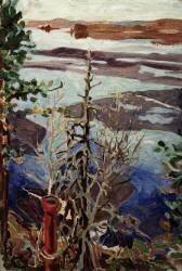 Source de glace (Akseli Gallen-Kallela) - Muzeo.com