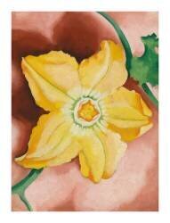 Squash Blossom, 1925 (Georgia O'Keeffe) - Muzeo.com