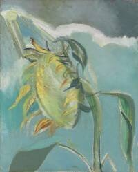 Sunflower and Sun (Paul Nash) - Muzeo.com