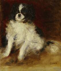 Tama (Auguste Renoir) - Muzeo.com