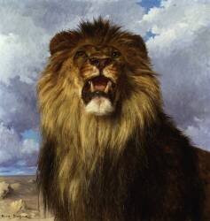 Tête de lion (Rosa Bonheur) - Muzeo.com