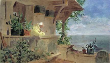 The Lookout (Carl Spitzweg) - Muzeo.com