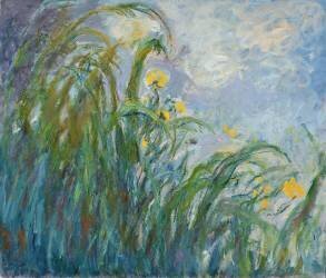 The Yellow Iris (Claude Monet) - Muzeo.com