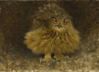 Un hibou grand-duc (Bruno Liljefors) - Muzeo.com