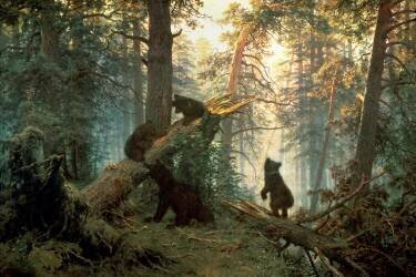 Un Matin dans une Forêt de Pins (Ivan Chichkine) - Muzeo.com