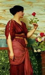 Une rose rouge (John William Godward) - Muzeo.com