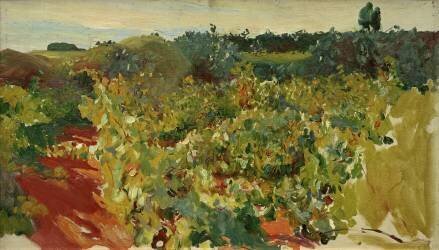 Vignes à Jerez (Joaquin Sorolla y Bastida) - Muzeo.com