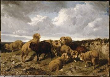 Béliers (Giuseppe Palizzi) - Muzeo.com