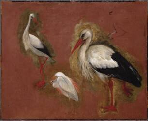 Cigognes et héron (Pieter Boel) - Muzeo.com