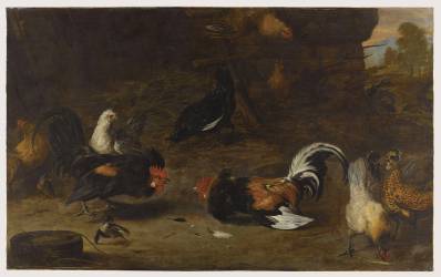 Combat de coqs (Melchior de Hondecoeter) - Muzeo.com