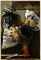 Coq mort (Anton Giuseppe Barbazza) - Muzeo.com