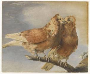 Deux pigeons sur une branche d'arbre (Marie-Thérèse Vien) - Muzeo.com