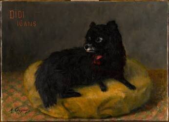 Didi 16 ans (Marie Gabrielle Coignet) - Muzeo.com