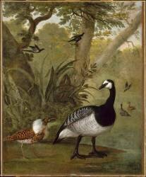 Etude d'oiseaux (Nicasius Bernaerts) - Muzeo.com