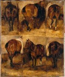 Etudes de chevaux (Antoine Alphonse Montfort) - Muzeo.com