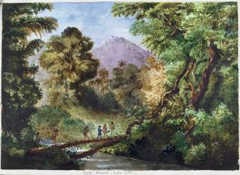 Haut-Maroni - tribu Galibi (Léon Armand) - Muzeo.com