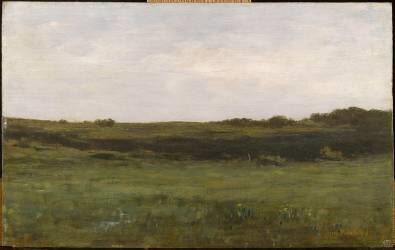 Lande (étude) (Auguste Pointelin) - Muzeo.com