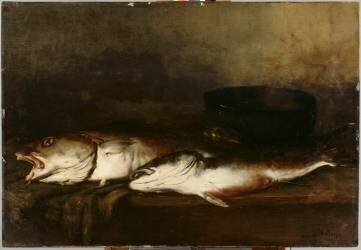 Poissons de mer (Antoine Vollon) - Muzeo.com