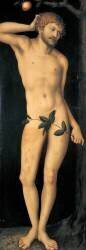 Adam (Lucas Cranach l'Ancien) - Muzeo.com