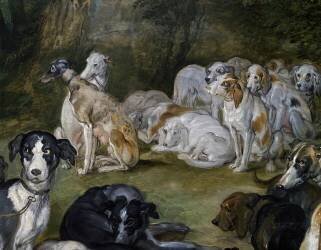 Chiens (Jan Brueghel l'Ancien) - Muzeo.com