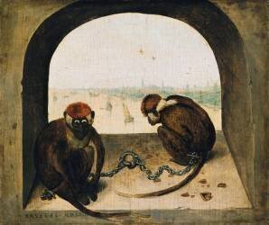 Deux singes enchaînés (Pieter Brueghel l'Ancien) - Muzeo.com