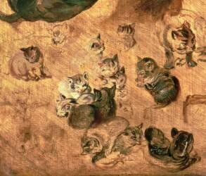 Étude des chats (Jan Brueghel l'Ancien) - Muzeo.com