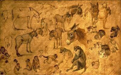 Étude des ânes (Jan Brueghel l'Ancien) - Muzeo.com