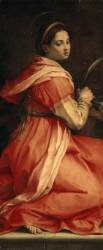 Sainte Catherine d'Alexandrie (Andrea del Sarto) - Muzeo.com