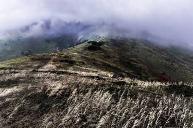 Anxious feeling (Yuusuke Hisamitsu) - Muzeo.com