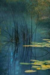 Aqua (Andreas Agazzi) - Muzeo.com