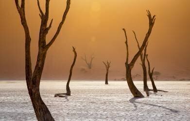 Ascension (Fegari) - Muzeo.com