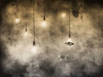 Attraction (Jeffrey Hummel ) - Muzeo.com