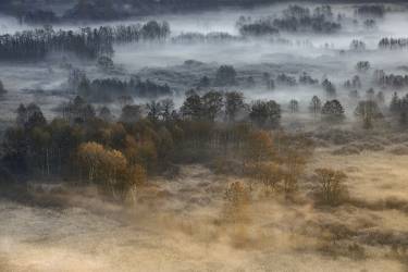 Autumnal misty dawn (Fiorenzo Carozzi) - Muzeo.com