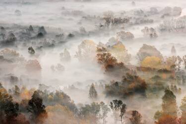 Autumns (Roberto Marini) - Muzeo.com