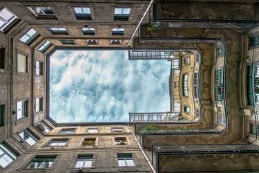 Backyard View (Michael) - Muzeo.com