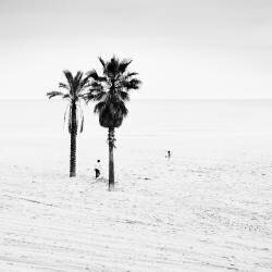 Barca (Ronny Behnert) - Muzeo.com